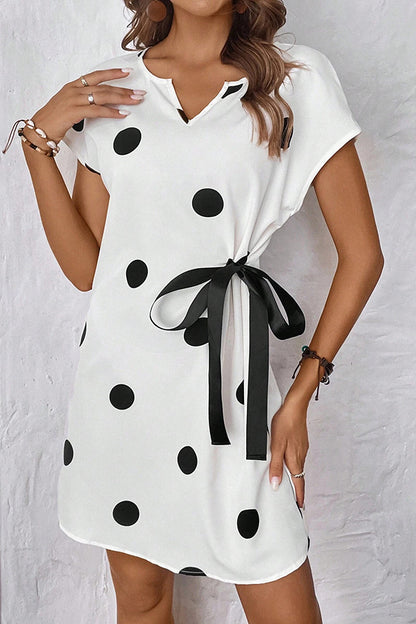 Loose Polka Dots V Neck Casual Dress